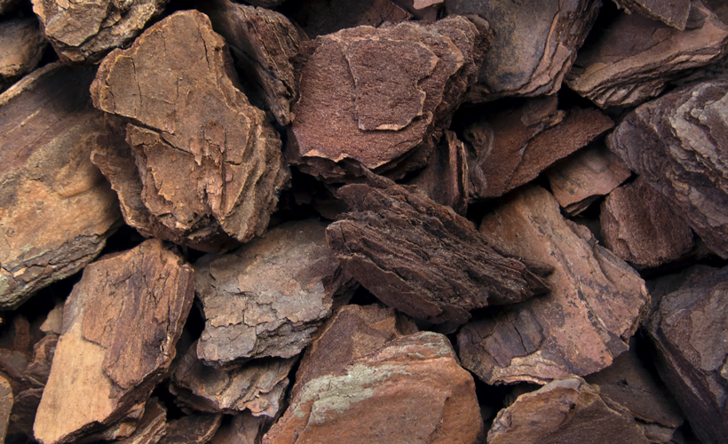 Cook-with-Wood_Become-Master-of-your-Grill.jpg