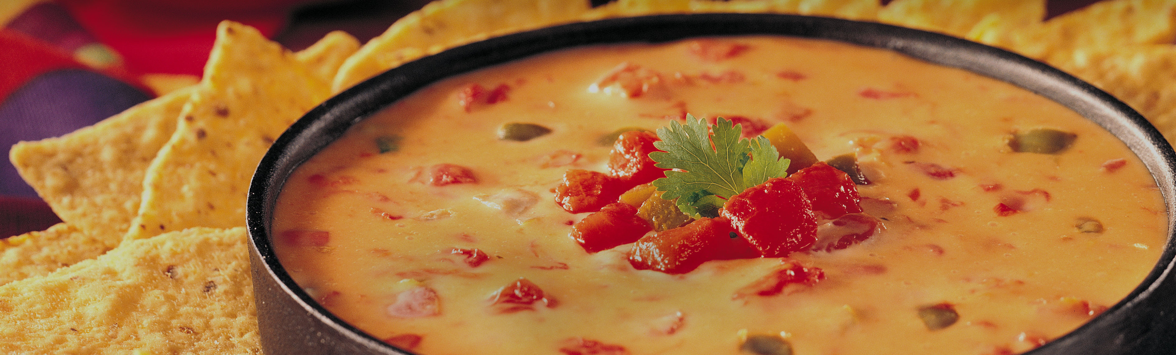 Cheese and Dairy Recipes